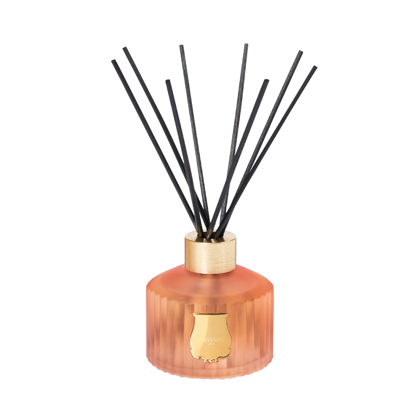 Le Diffuseur Tuileries