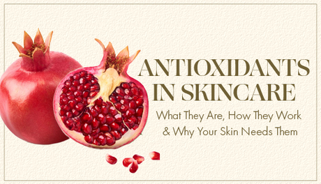 Antioxidants In Skincare