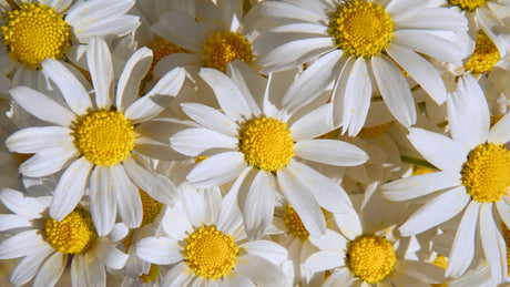How to prepare your skin for Spring
