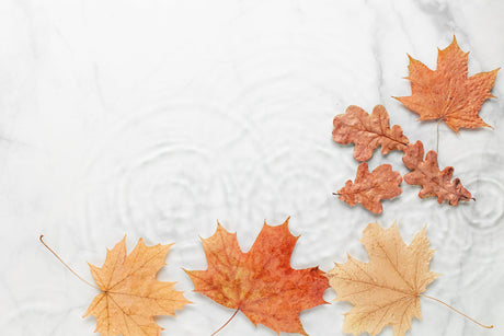How to prepare your skin for Autumn