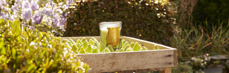 Introducing Figuerie: Trudon’s fig scent designed to bring the outdoors, in