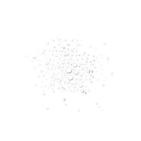 Scalp + Hair Rejuvenating Booster