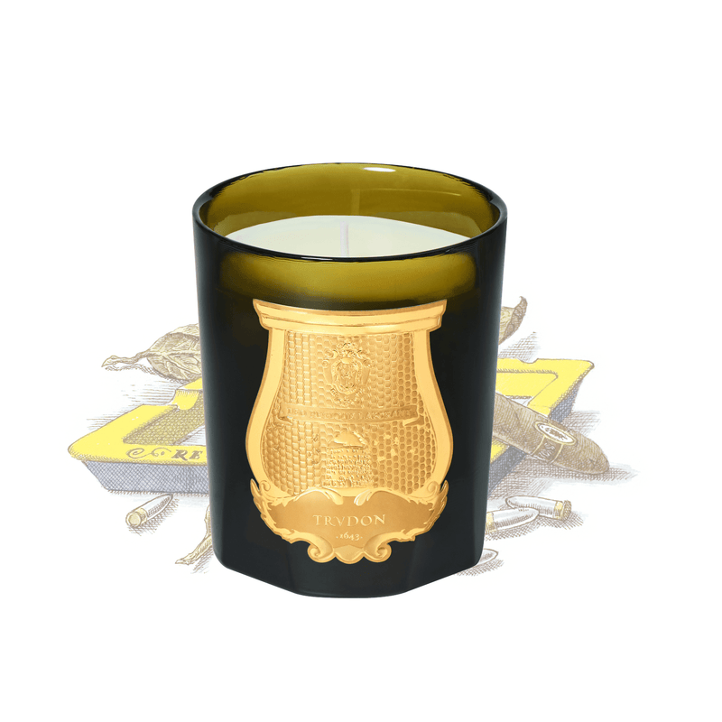 Trudon Ernesto Scented Candle - Leather and Tobacco