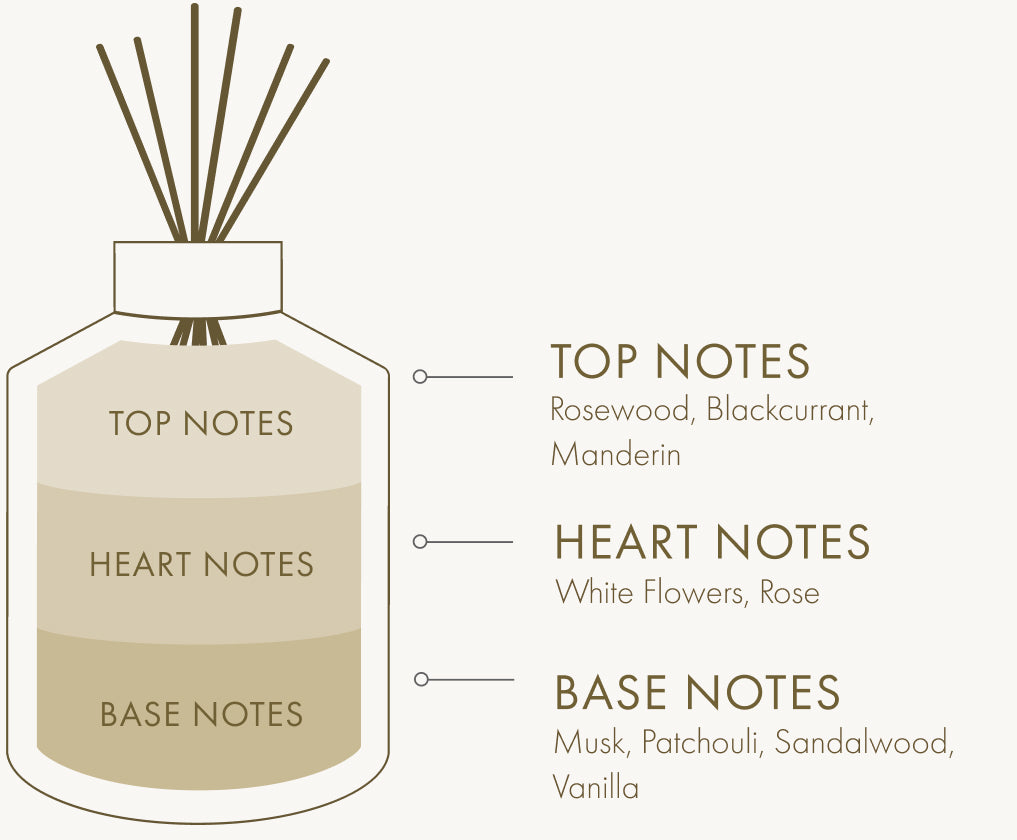 Top Notes Heart Note Perfume Fragrance Notes Meaning Luxurious Note Perfume Rare Unisex