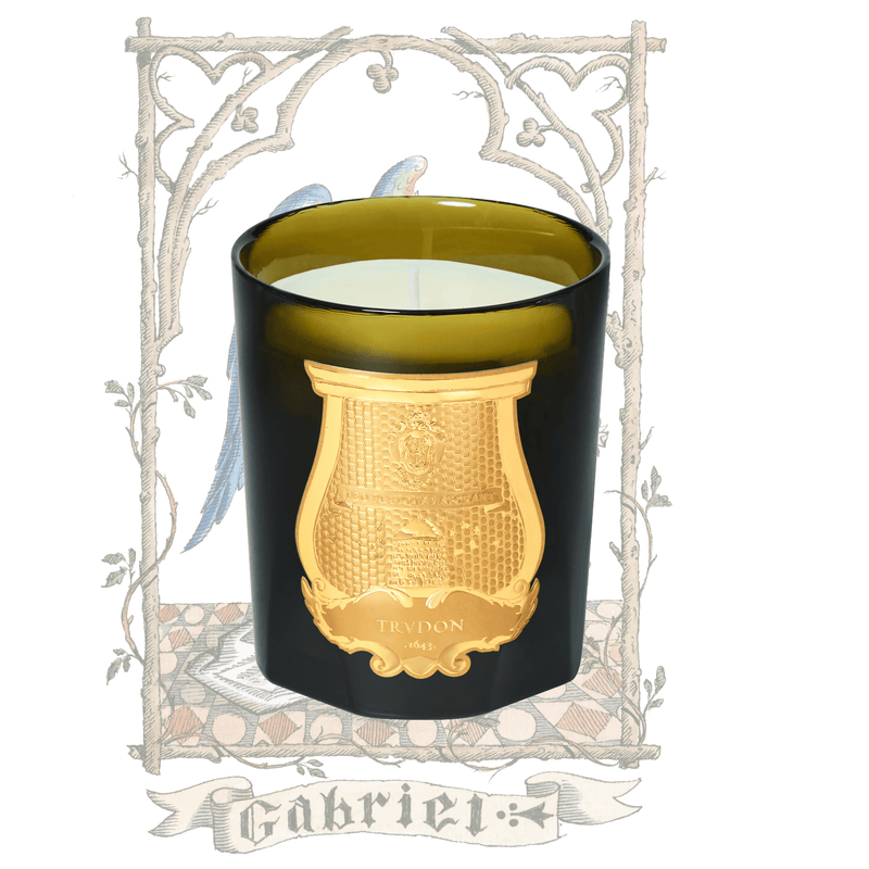 Trudon - Gabriel - Scented Candle - Chestnuts and Wood