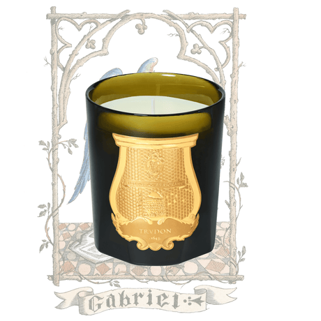 Trudon - Gabriel - Scented Candle - Chestnuts and Wood