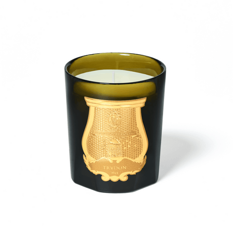 A picture featuring a candle enclosed in a green glass holder with a gilded emblem.