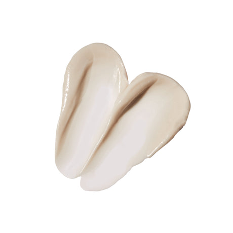Definitive Neck and Decollete Cream