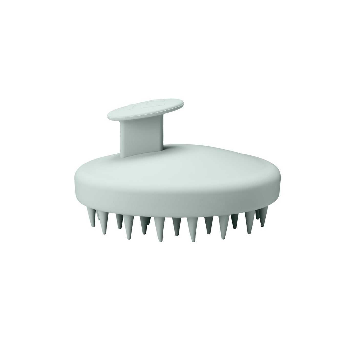 Body Brush