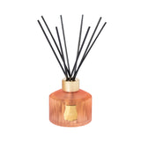 Le Diffuseur Tuileries