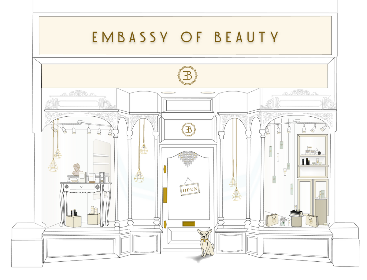 illustration of Embassy of Beauty Store