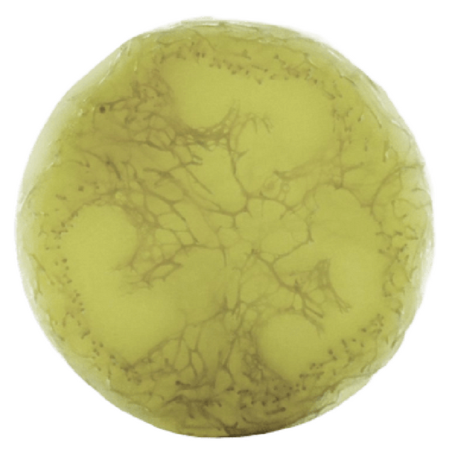 Ayuna - Spirulite - An Anti-Cellulite Body Soap